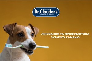 Лікування та профілактика зубного каменю у тварин, зокрема у собак та котів